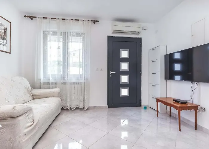 Rino, * بوريتش